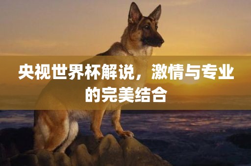 央视世界杯解说，激情与专业的完美结合漯河市盈旭机械设备有限公司