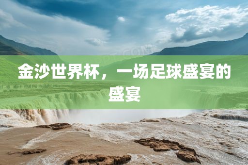 金沙世界杯，一场足球盛宴的盛宴