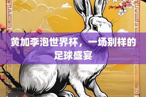 黄加李泡世界杯，一场别样的足球盛宴