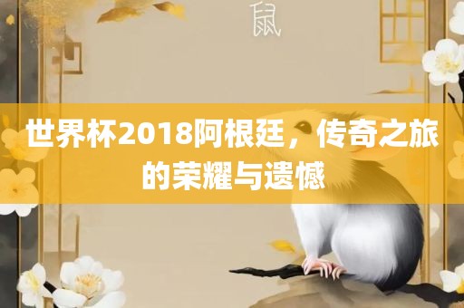 世界杯2018阿根廷，传奇之旅的荣耀与遗憾