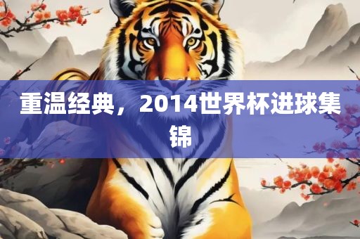 重温经典，2014世界杯进球集锦漯河市盈旭机械设备有限公司