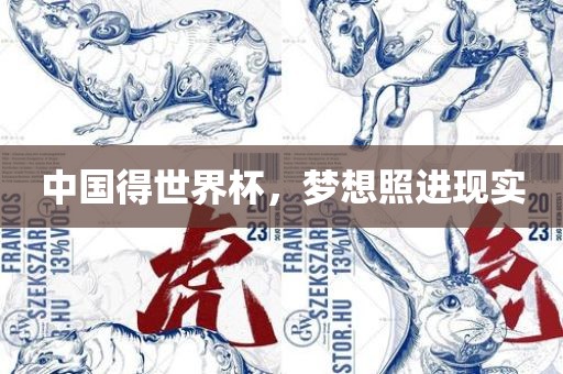 漯河市盈旭机械设备有限公司中国得世界杯，梦想照进现实