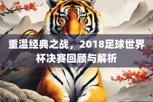 重温经典之战，2018足球世界杯决赛回顾与解析