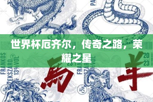 世界杯厄齐尔，传奇之路，荣耀之星