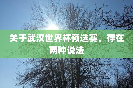 关于武汉世界杯预选赛，存在两种说法