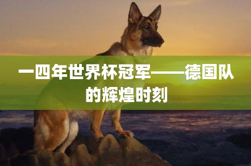 一四年世界杯冠军——德国队的辉煌时刻