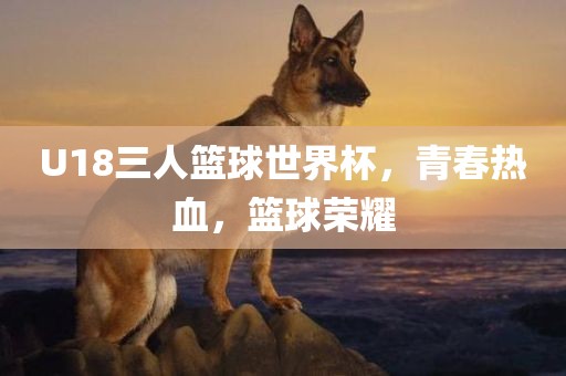 U18三人篮球世界杯，青春热血，篮球荣耀