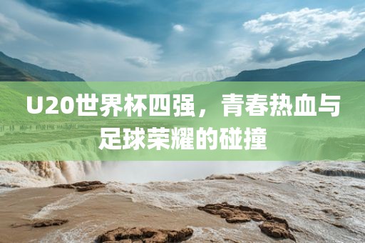 U20世界杯四强，青春热血与足球荣耀的碰撞
