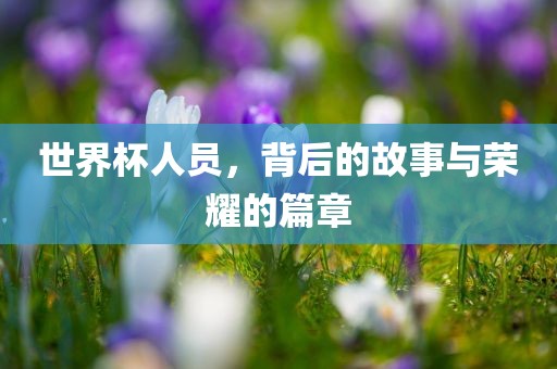 世界杯人员，背后的故事与荣耀的篇章