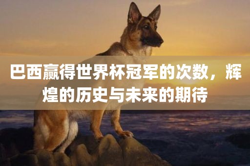 巴西赢得世界杯冠军的次数，辉煌的历史与未来的期待