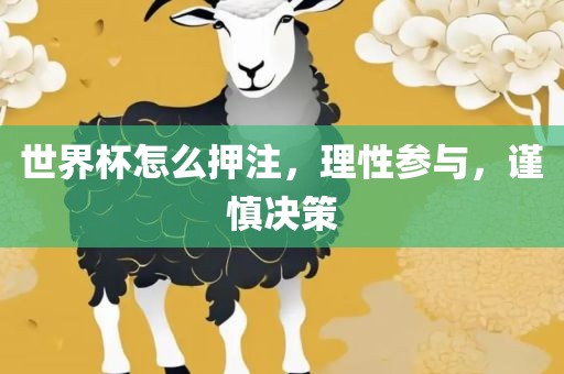 世界杯怎么押注，理性参与，谨慎决策