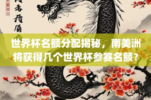 世界杯名额分配揭秘，南美洲将获得几个世界杯参赛名额？
