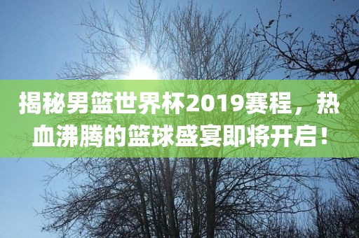 篮球盛宴