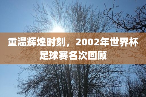 世界杯足球赛 第6页