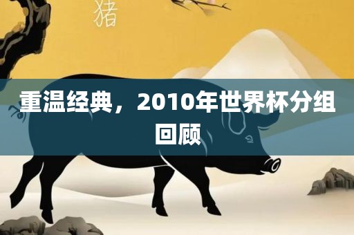重温经典，2010年世界杯分组回顾