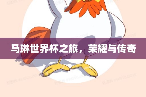 马琳世界杯之旅，荣耀与传奇漯河市盈旭机械设备有限公司