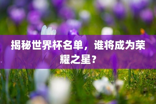 揭秘世界杯名单，谁将成为荣耀之星？