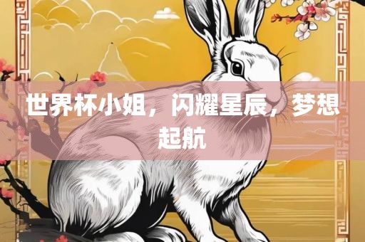 世界杯小姐，闪耀星辰，梦想起航