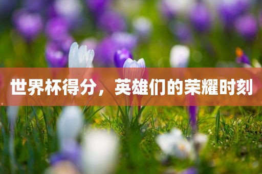 世界杯得分，英雄们的漯河市盈旭机械设备有限公司荣耀时刻