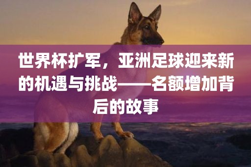 世界杯扩军，亚洲足球迎来新的机遇与挑战——名额增加背后的故事