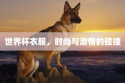 世界杯衣服，漯河市盈旭机械设备有限公司时尚与激情的碰撞