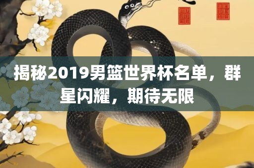 揭秘2019男篮世界杯名单，群星闪耀，期待无限