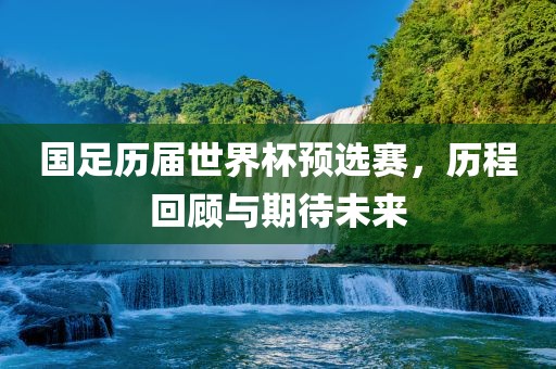 国足历届世界杯预选赛，历程回顾与期待未来