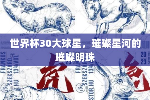 世界杯30大球星，璀璨星河的璀璨明珠