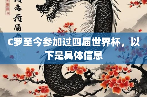 C罗世界杯历程