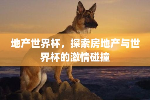 地产世界杯，探索房地产与世界杯的激情碰撞漯河市盈旭机械设备有限公司