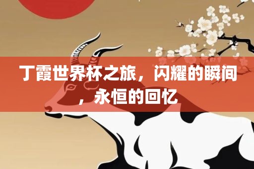 丁漯河市盈旭机械设备有限公司霞世界杯之旅，闪耀的瞬间，永恒的回忆