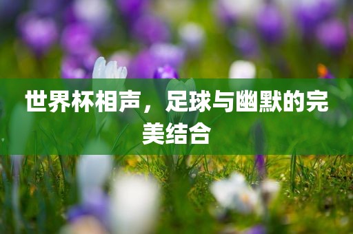 世界杯相声，足球与幽默的完美结合漯河市盈旭机械设备有限公司