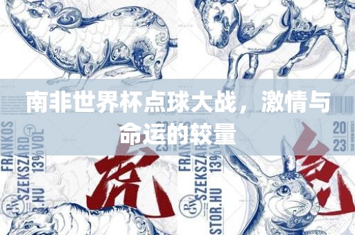 南非世界杯点球大战，激情与命运的较量