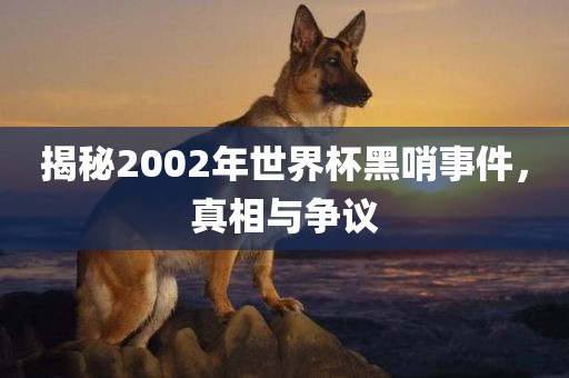 揭秘2002年世界杯黑哨事件，真相与争议