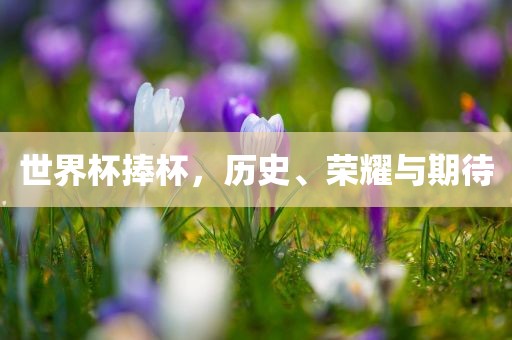 世界杯捧杯，历史、荣耀与期待