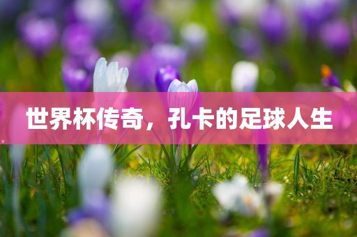 世界杯传奇，孔卡的足球人生漯河市盈旭机械设备有限公司