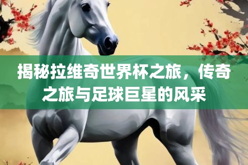 揭秘拉维奇世界杯之旅，传奇之旅与足球巨星的风采漯河市盈旭机械设备有限公司