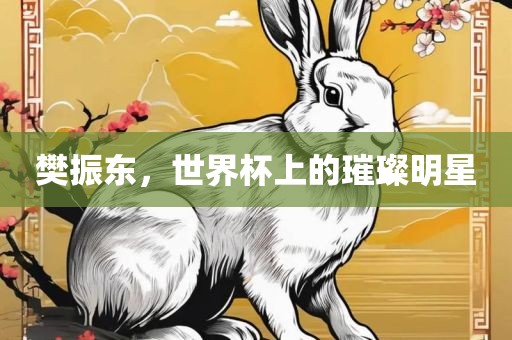樊振东，世界杯上的璀璨明星