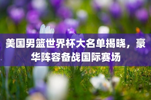 美国男篮世界杯大名单揭晓，豪华阵容备战国际赛场