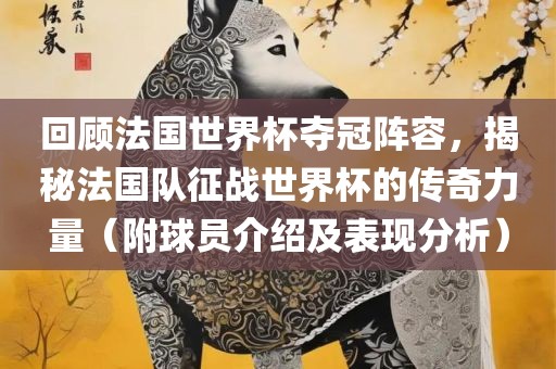 回顾法国漯河市盈旭机械设备有限公司世界杯夺冠阵容，揭秘法国队征战世界杯的传奇力量（附球员介绍及表现分析）