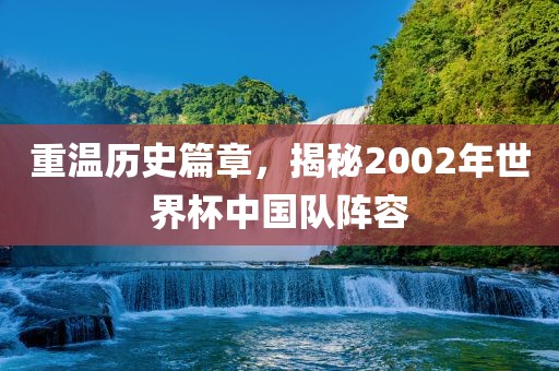 重温历史篇章，揭秘2002年世界杯中国队阵容
