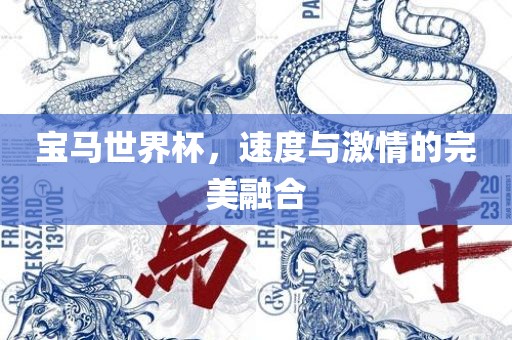 宝马世界杯，速度与激情的完美融合
