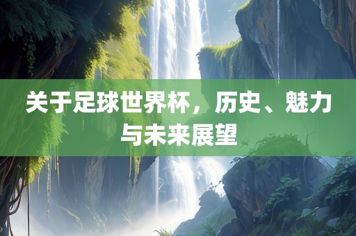 关于足球世界杯，历史、魅力与未来展望漯河市盈旭机械设备有限公司