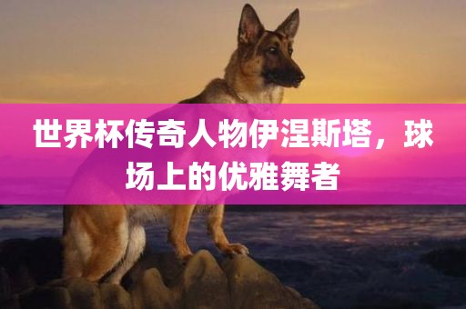世界杯传奇人物伊涅斯塔，球场上的优雅舞者