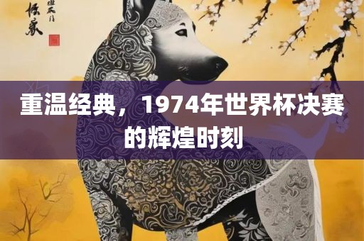 重温经典，1974年世界杯决赛漯河市盈旭机械设备有限公司的辉煌时刻