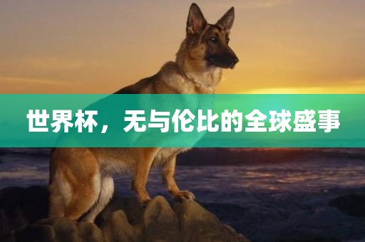 世界杯，无与伦比的全球盛事