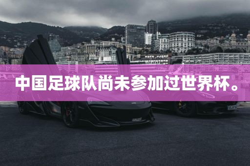 中国足球队尚未参加过世界杯。漯河市盈旭机械设备有限公司