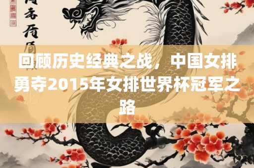 回顾历史经典之战，中国女排勇夺2015年女排世界杯冠军之路漯河市盈旭机械设备有限公司