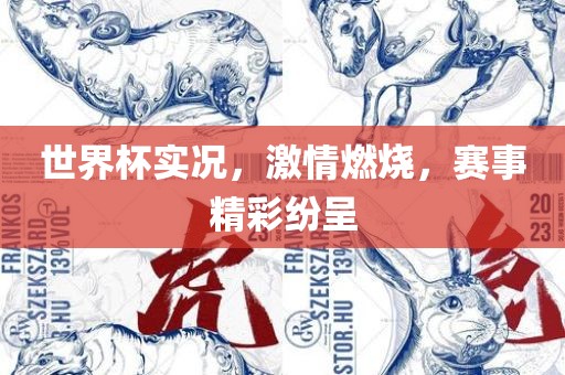 世界杯实况，激情燃烧，赛事精彩纷呈