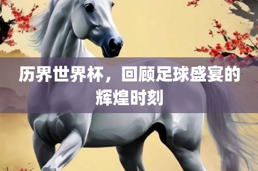 历界世界杯，回顾足球盛宴的辉煌时刻